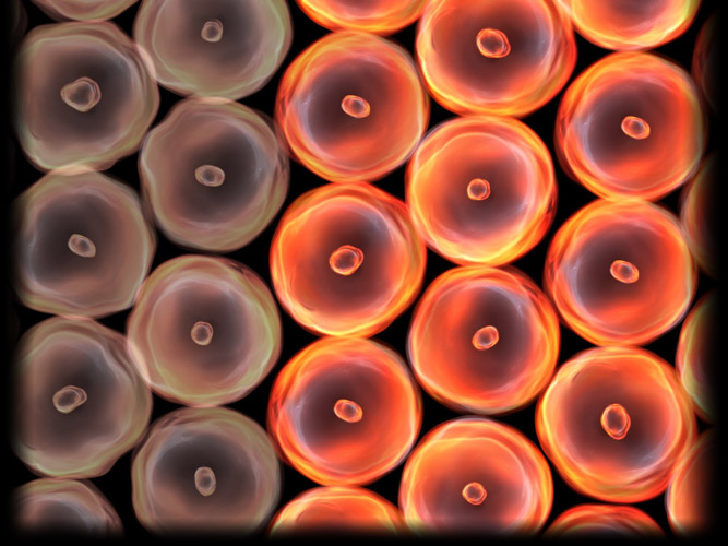 Smart Probiotic Strains