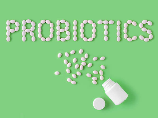 Traditional Probiotics