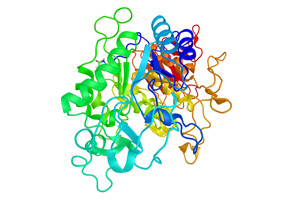 Amylase