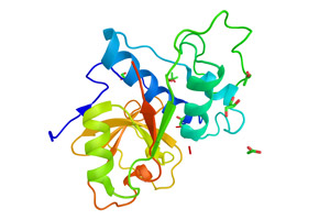Peptidase