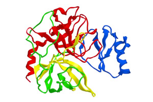 Protease (pH 3.0)