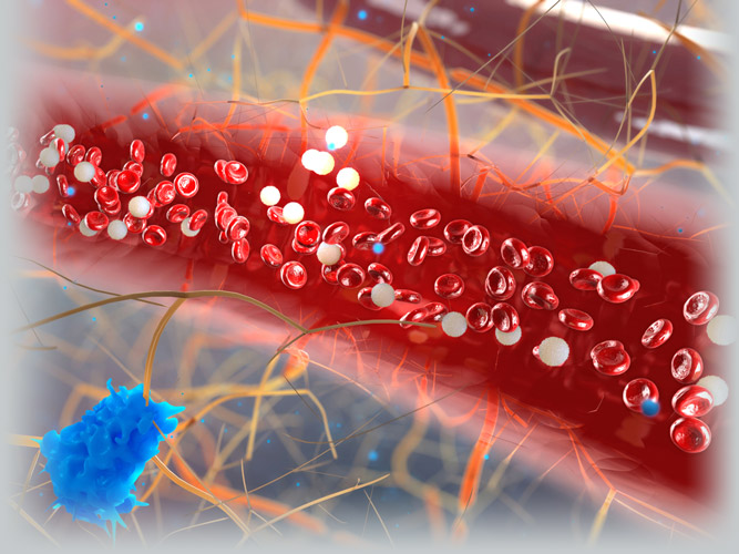 Hormonal System Struggles to Adapt