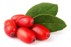 Berberine