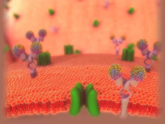 Metabolic Hormone Resistance