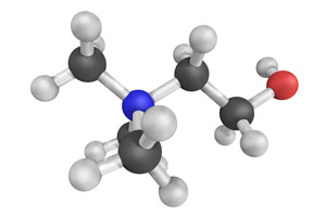 Choline Bitartrate