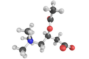 Acetyl L-Carnitine