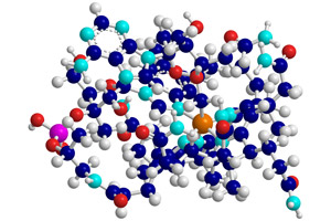 Vitamin B12