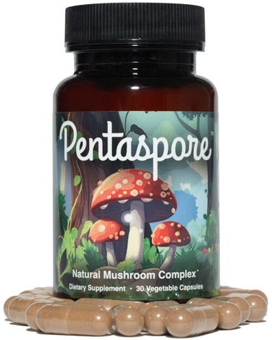 Pentaspore
