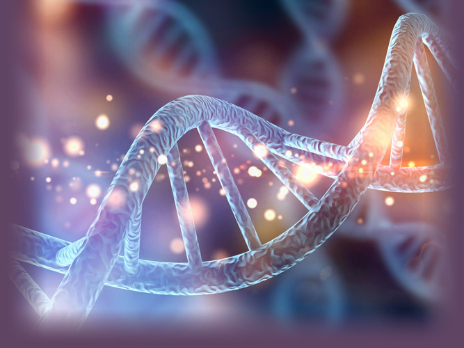 Superager DNA