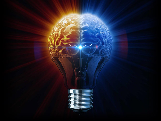 Brain as a Lightbulb