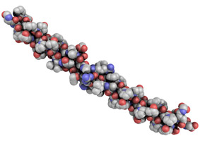 UC-II&reg; Collagen