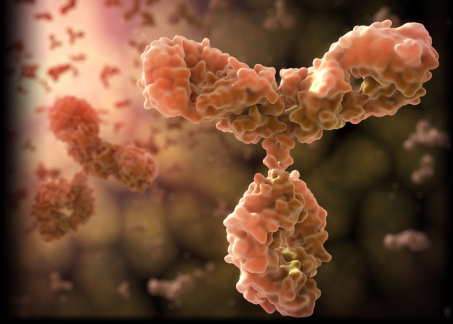 Pro-Inflammatory Cytokines