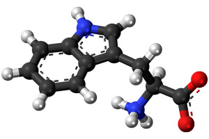 L-Tryptophan