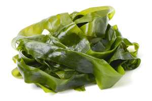 Kelp