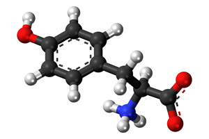 L-Tyrosine